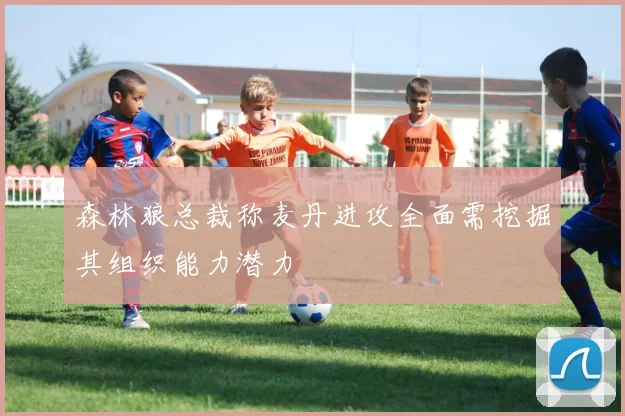 森林狼总裁称麦丹进攻全面需挖掘其组织能力潜力